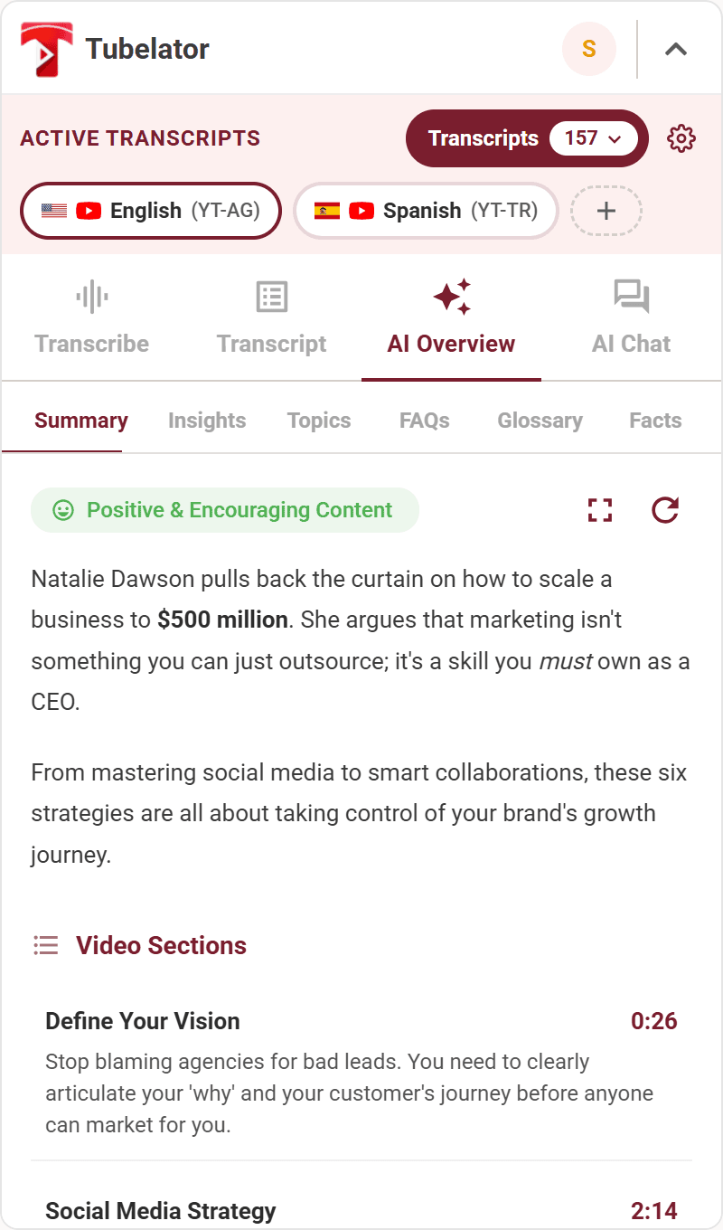 Tubelator panel — AI Overview with summary and video sections